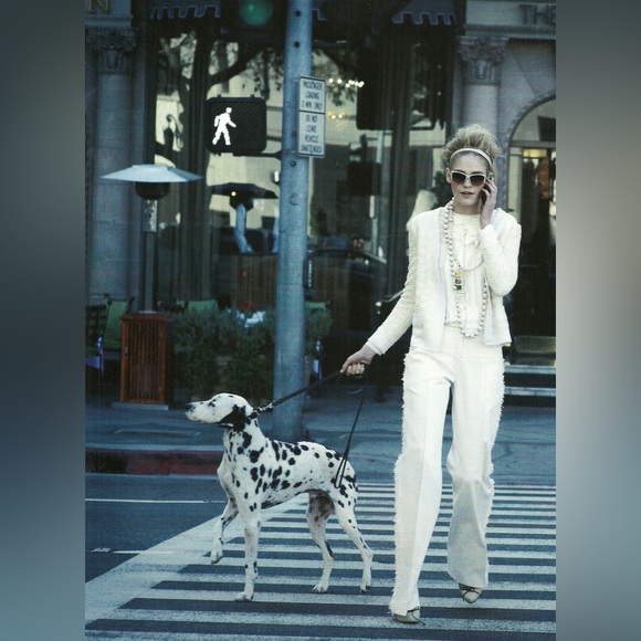 🐶WE ARE LIVE🐶 - Picture 4 of 17